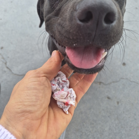 ♡🐶 - Picture 6 of 7